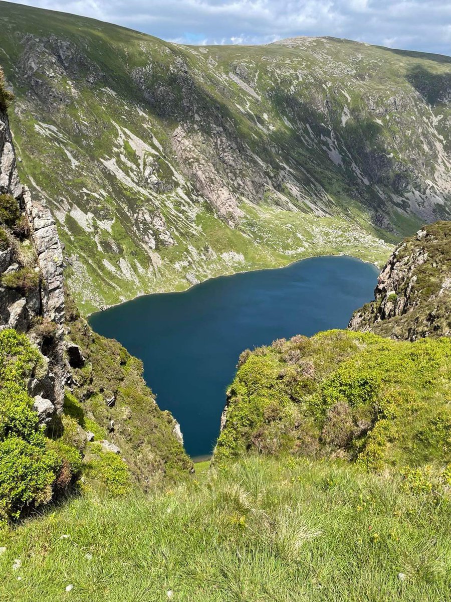 Kidwelly RFC tweet media