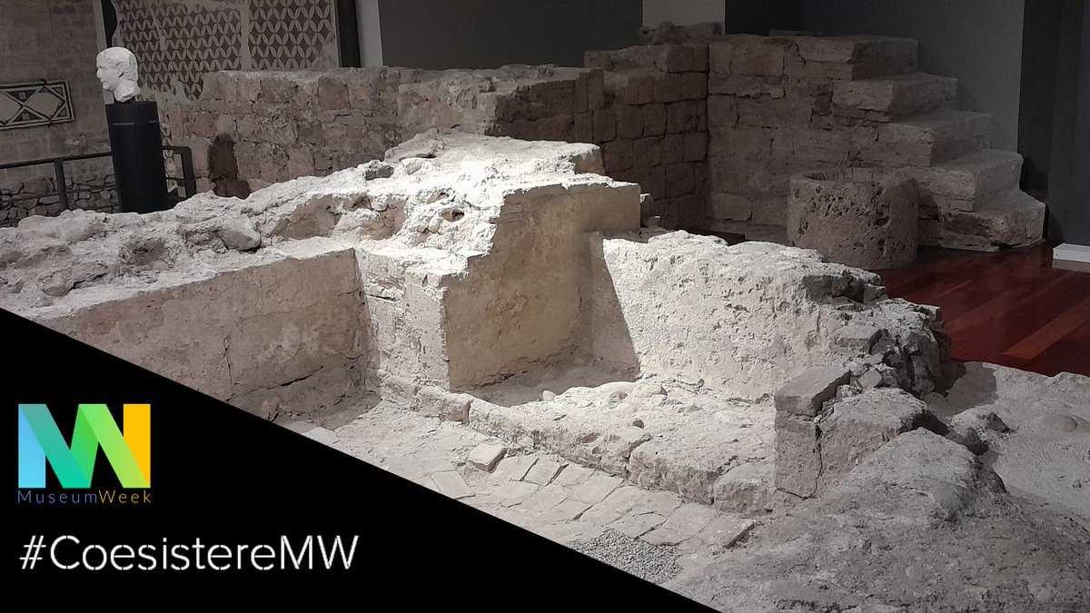 Un pavimento romano in cocciopesto, una base di torre e resti di una casa medievali, la terrazza del palazzo rinascimentale: tutte queste strutture mostrano che solo sulle solide basi del passato si può costruire il futuro.

"Siamo nani sulle spalle di giganti"!

#MuseumWeek2024