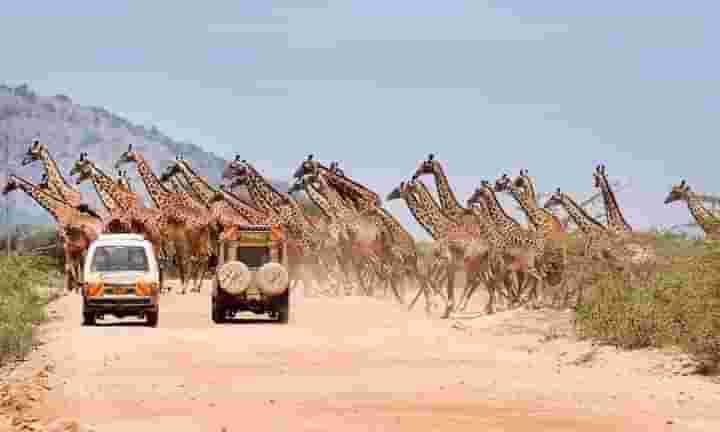 kenya_isiolo's tweet photo. Walk in the footsteps of film legends at Shaba Game Reserve. This stunning location served as the backdrop for Born Free and Out of Africa
#IsioloRisingKE
 #GovGuyoDelivers
Isiolo county 
@GDU011 https://t.co/UJzkJy6ra1