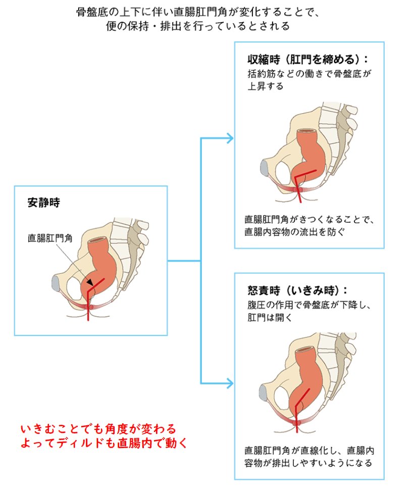 prostate727's tweet photo. 足の角度

足の上げ下げだけでも前立腺への刺激が変わってきます

当たり所を意識しながら気持ちいい体勢をさがしましょう

特にドライがまだの人は僅かな角度で変わってきますよ

私は体全体をくねくねとよがりながら絶頂を迎えます
＃ドライオーガズム ＃前立腺 https://t.co/8yrH7lZnrt