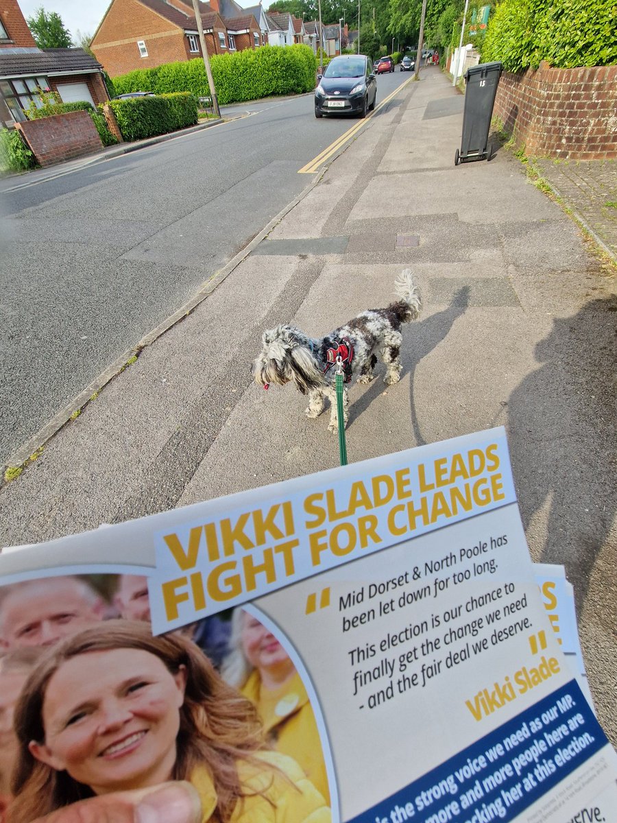 Paulslade18's tweet photo. #ElectionDogs https://t.co/0V4Q5Htptd