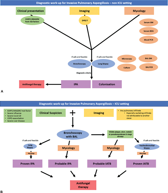Today's Paper of the Day is on invasive pulmonary aspergillosis
criticalcarereviews.com/latest-evidenc…

Join us to read 1 paper per day and stay up-to-date as we cover the spectrum of critical care across 2024