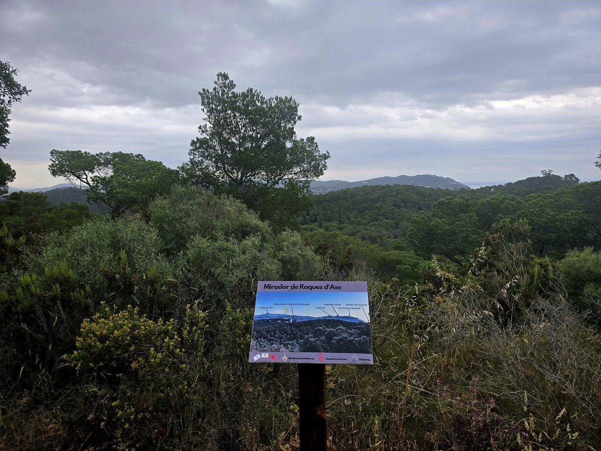 PerePerpinya's tweet photo. Des del capdamunt d #RoqueDAse tenim vistes de #Calella amb l'@anem_pams , seguim i a darrere el #Montgrí podriem albirar #PortDeLaSelva i la @montseforga i si ens tombem ja tenim de nou #Palamós i #SantAntoni amb la @RousePla Obsequi empordanés del #Perpi 😉 https://t.co/cuSx5AOVpG
