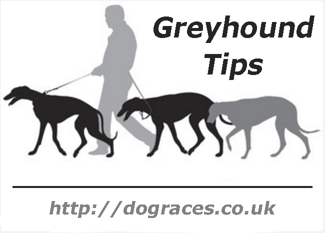 kwxtra's tweet photo. Greyhound Tips Newsletter - https://t.co/UhJ73RlNMj https://t.co/bOyuU16Ftz