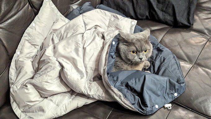 おくるみ中も警戒を怠らない 