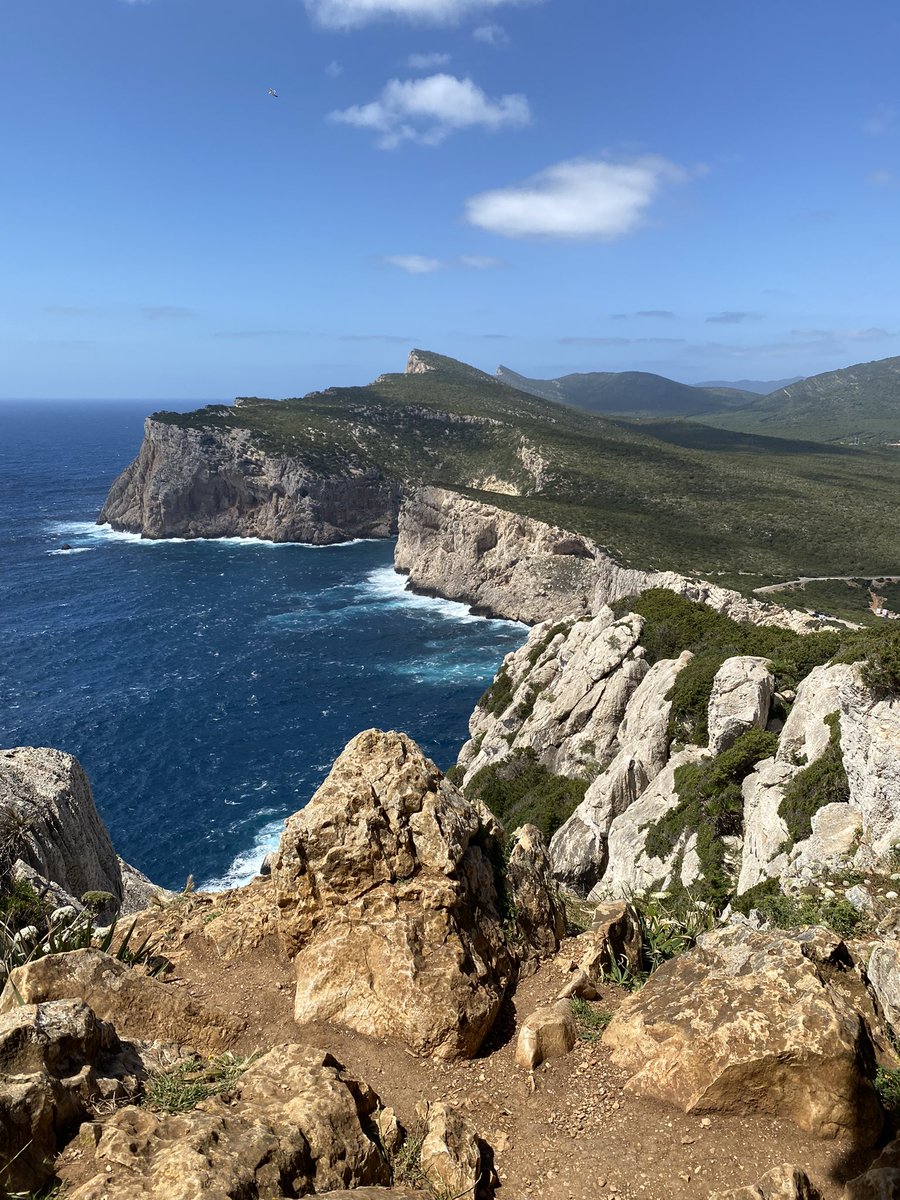 Wildside Nature tweet media