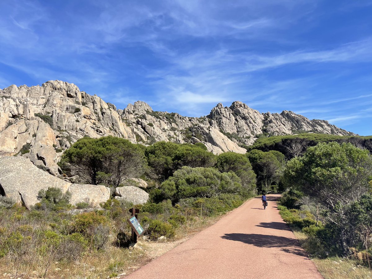 Wildside Nature tweet media