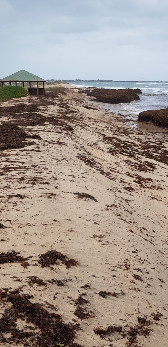 Diongroove's tweet photo. #climatechangereality 🧞♂️🧞♀️🤷🏾♂️
#DrIndianOcean 🌊🧜♀️🧜♂️ https://t.co/PVObda2HUD