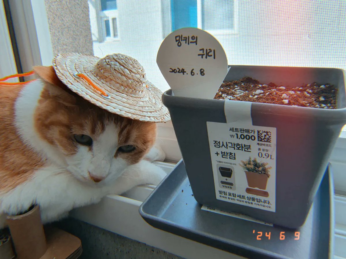 귀리를 심어따 ^(ㅇㅅㅇ)^