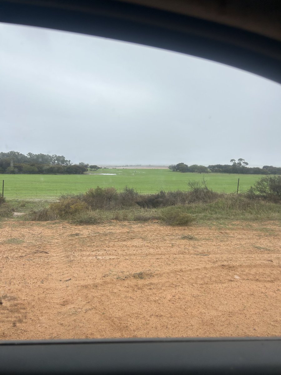 Andrew Cosgrove tweet media