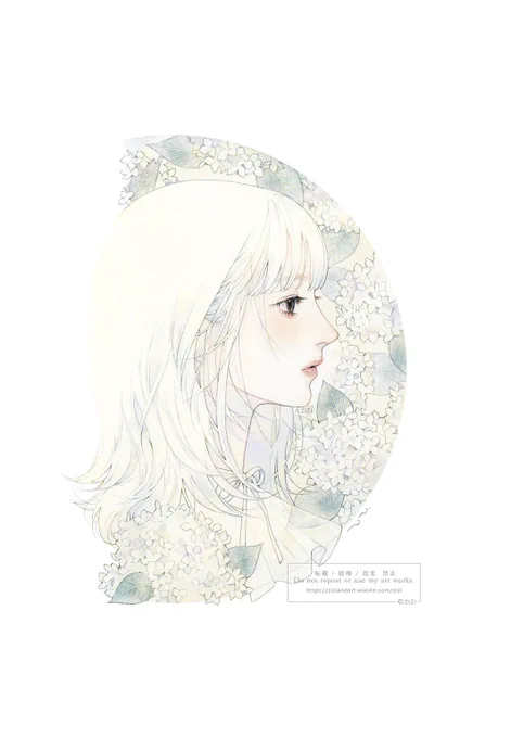 白紫陽花の月