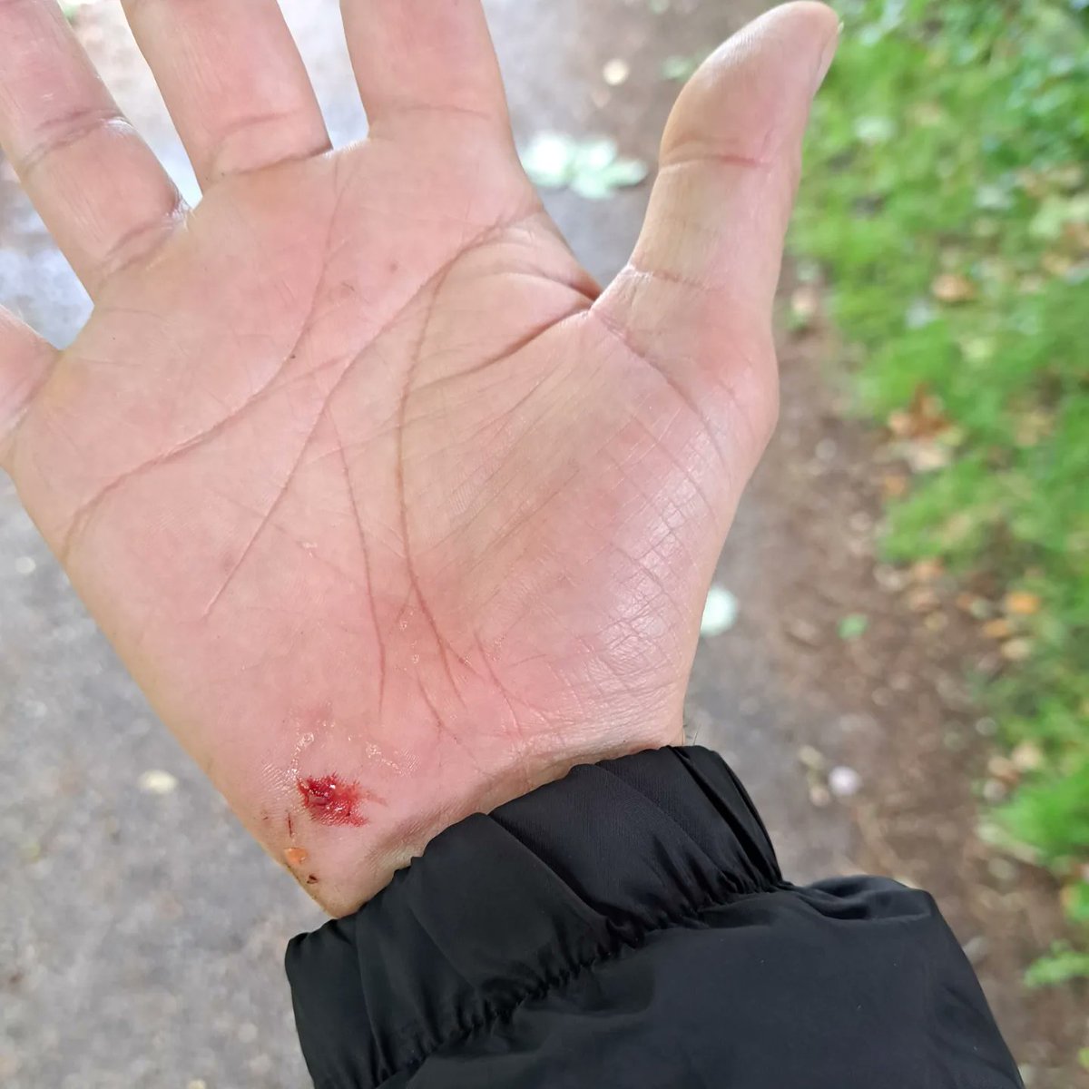 Cakesniffer77's tweet photo. Well that was an enjoyable #virtualrunclub in the rain and sun...until the last 500m! Some hyper prick stepped out in front of me, after he saw me coming, which caused me to stack it inches from the canal. I honestly thought I was going in on my way down. @runningpunks 1/2 https://t.co/EPvaqo3zrP