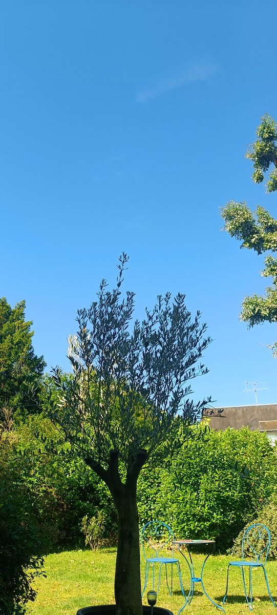 #9juin#Européennes#France Un temps superbe pour aller... à la pêche !