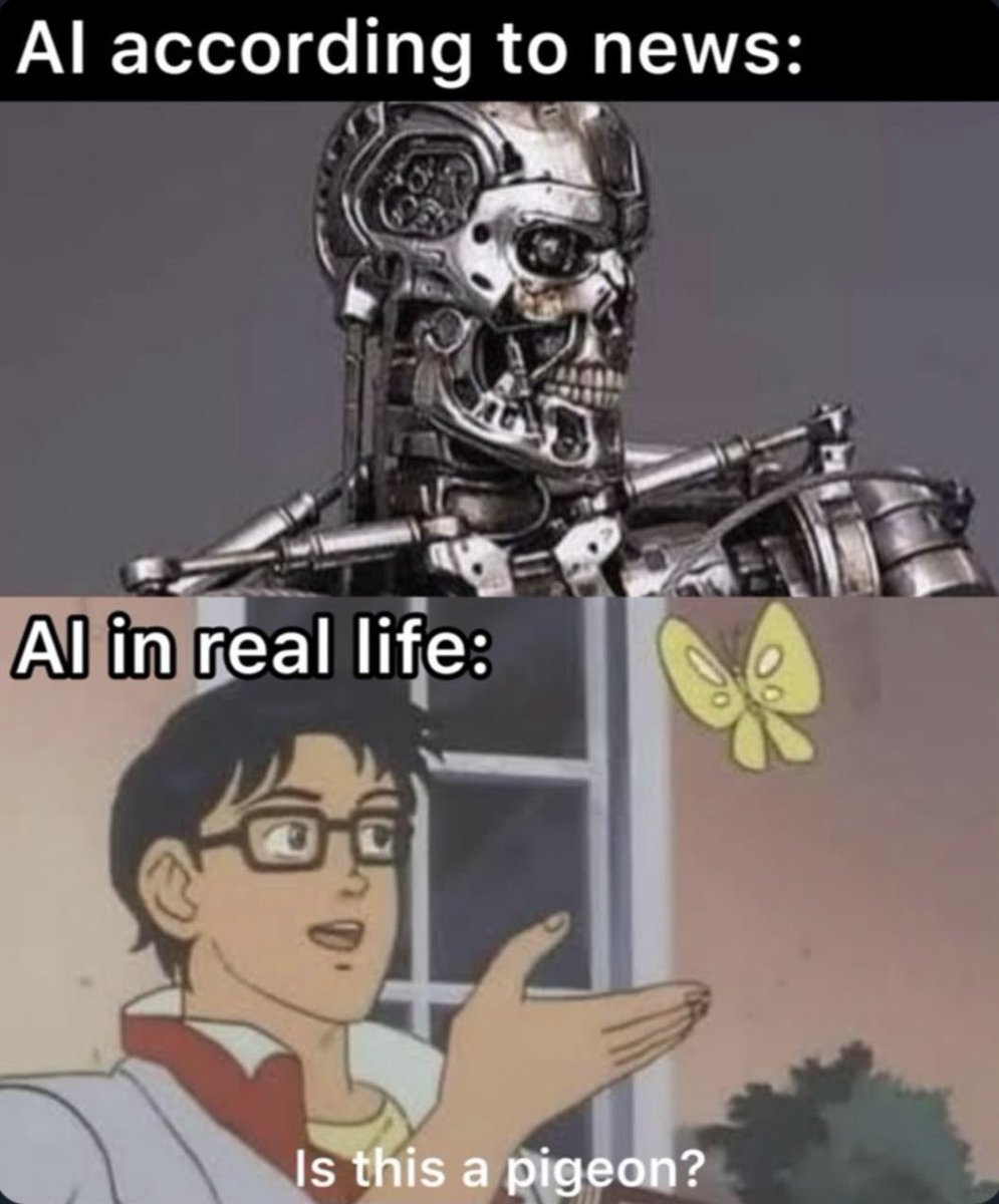 modernday_eratosthenes tweet media