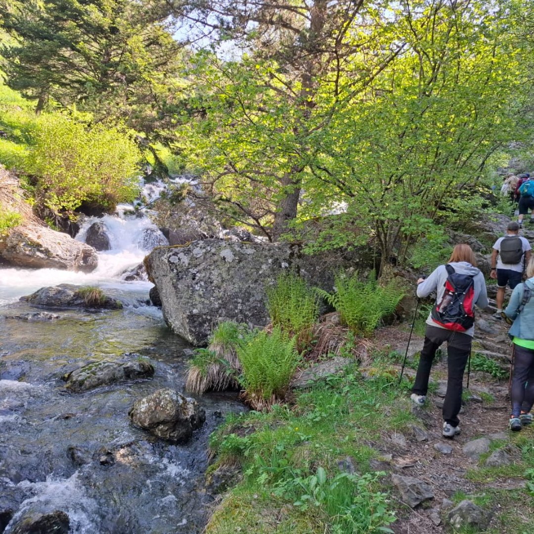 CreandFundacio's tweet photo. 🌲🥾 Els usuaris de L'espai van gaudir d'una sortida de senderisme a la vall de Sorteny. Van explorar paisatges impressionants i van descobrir el nostre patrimoni. Agraïts per aquests moments en un entorn tan bonic! 🌿✨ #CreandFundació #Senderisme #VallDeSorteny #Natura https://t.co/gTAuRqgVQp