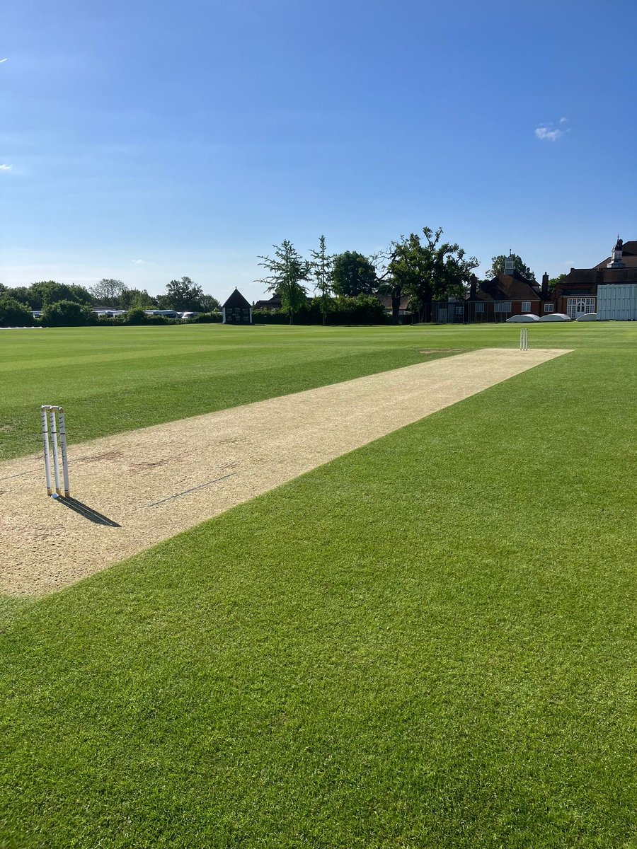 Haileybury Cricket tweet media