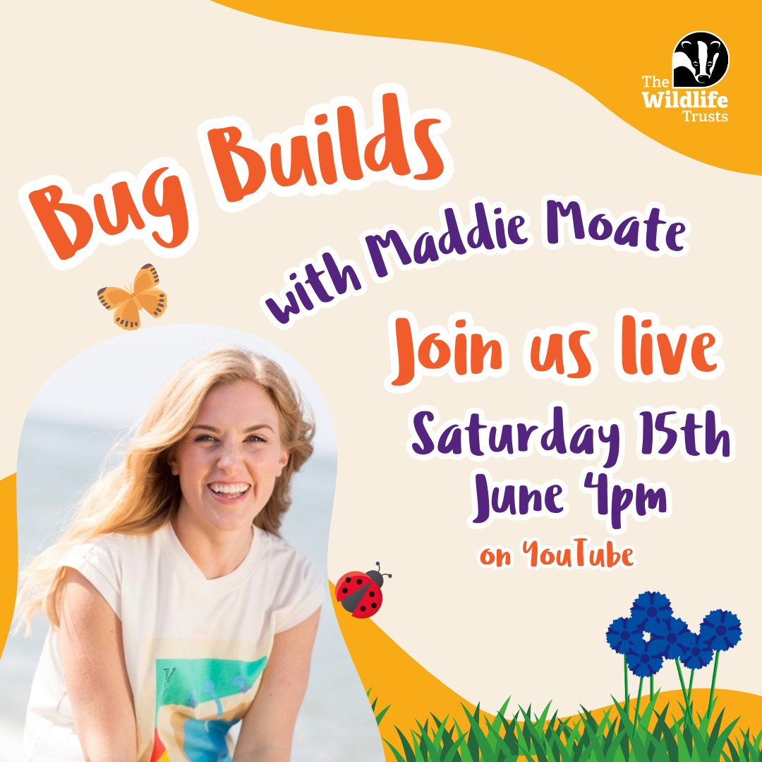 WildlifeTrusts's tweet photo. Want to build a home for insects but don’t know where to start? 🦋 

Join us LIVE on Saturday 15th June from 4:00pm as our ambassador Maddie Moate show you how to build a butterfly puddling station, beetle bath and log pile homes 👇

https://t.co/c4j3ygsaMD https://t.co/uvfhlGk5af