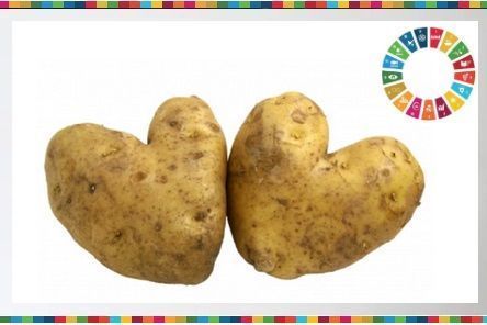 UNGeneva's tweet image. It's time to normalize the “ugly” fruits and vegetables to reduce FoodWaste. 

Find out why loving ugly fruits &amp;amp; vegetables is good for the environment, the economy and a #ZeroHunger world 👉 buff.ly/2Pd2pd8 #SDG12