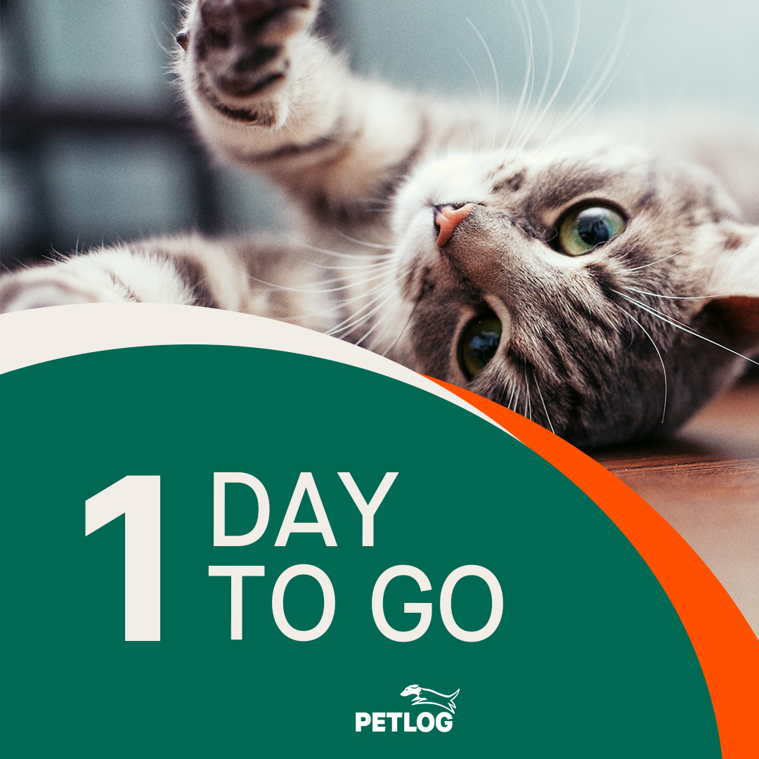 Is your #cat #microchipped? From tomorrow, new laws require all owned cats in England to be microchipped before they are 20 weeks old and the owner's up-to-date contact details registered on a microchip database.
Learn more at petlog.org.uk/compulsorycatm….
