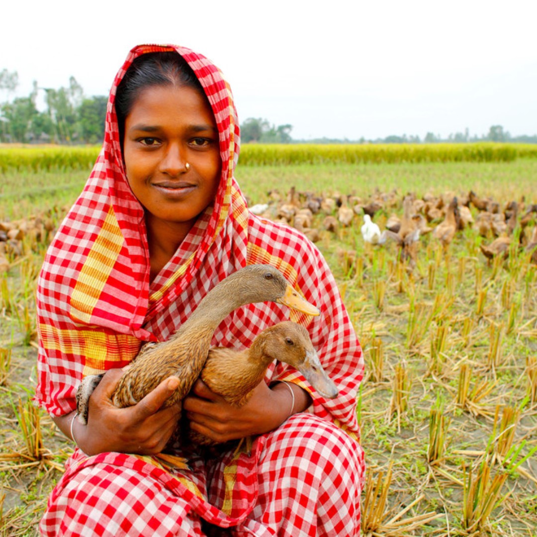 International Fund for Agricultural Development tweet media