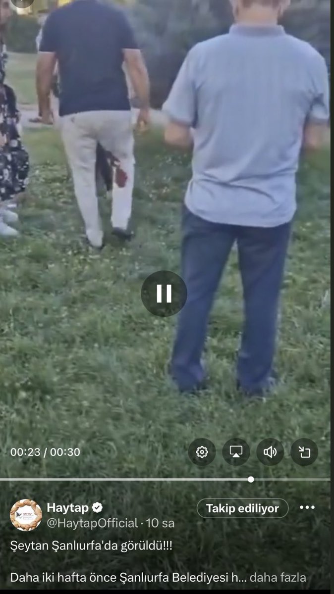 angrybirdybee's tweet photo. Isırıldığını iddia eden kişi,boğdukları köpeğin hemen yanı başında !

Köpeği oracıkta boğarak öldürdüler sonra da tepki çekmemek için kuduz yalanını ortaya attılar

Bu bahaneyle de tüm köpekleri öldürdüler❗️❗️

@pervintuba @Nihal_K34 @AvGulcinYapici @guclusinemm @pambikpiremses_ https://t.co/OuHYcEDKJZ