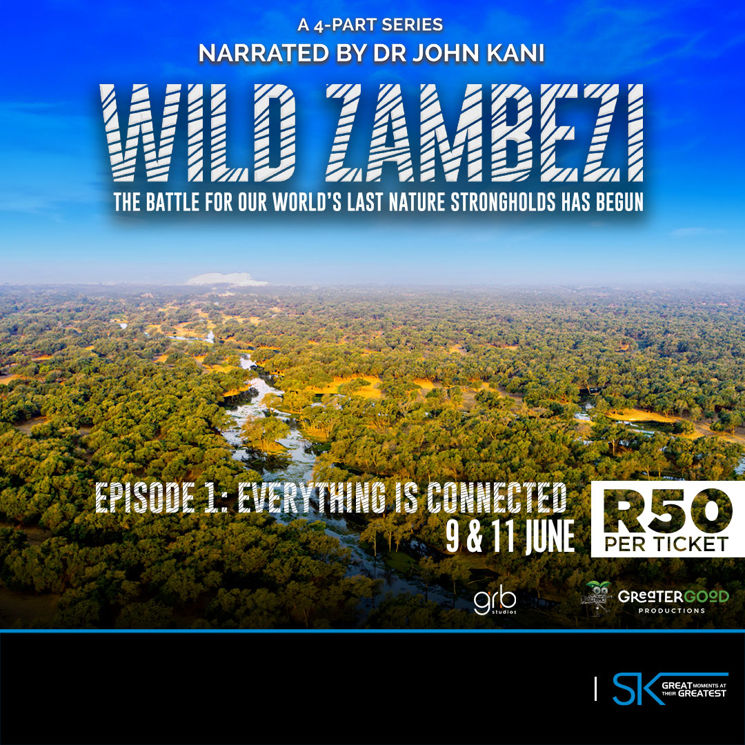 Collett Dawson tweet media