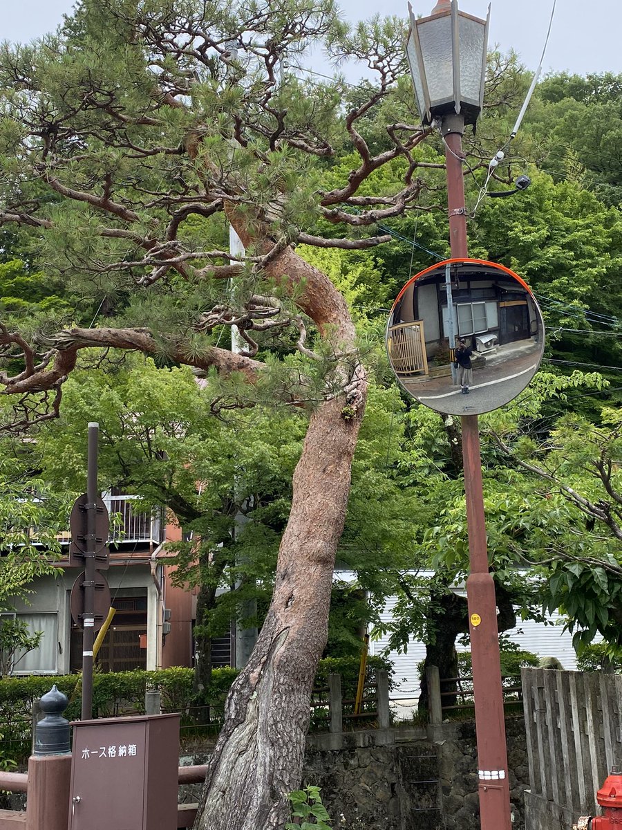 amaneki1036's tweet image. save me japanese countryside greenery save meeee