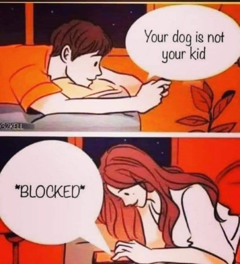 Heckin Good Dogs tweet media