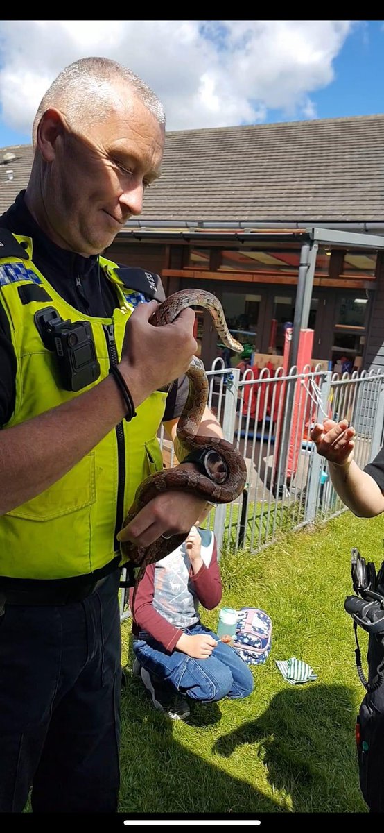 GrangeFirstSchool tweet media