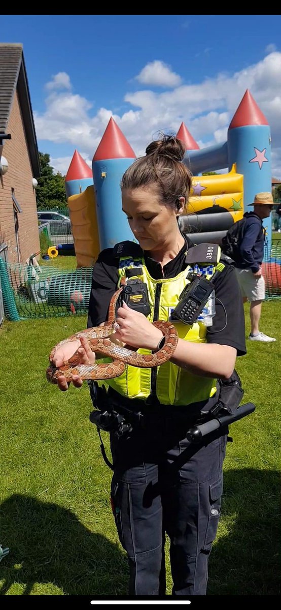 GrangeFirstSchool tweet media