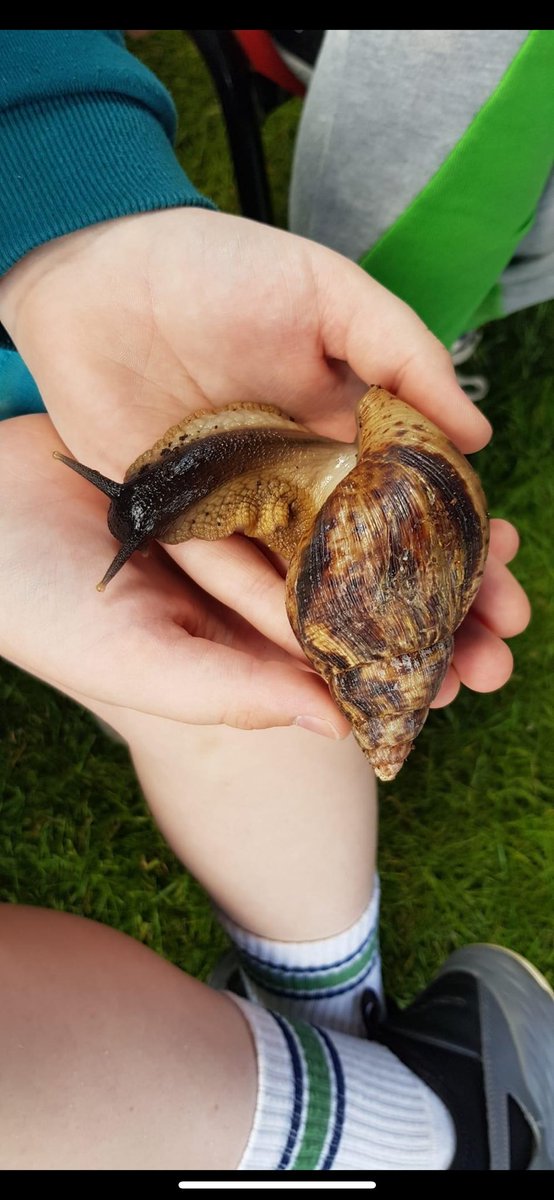 GrangeFirstSchool tweet media