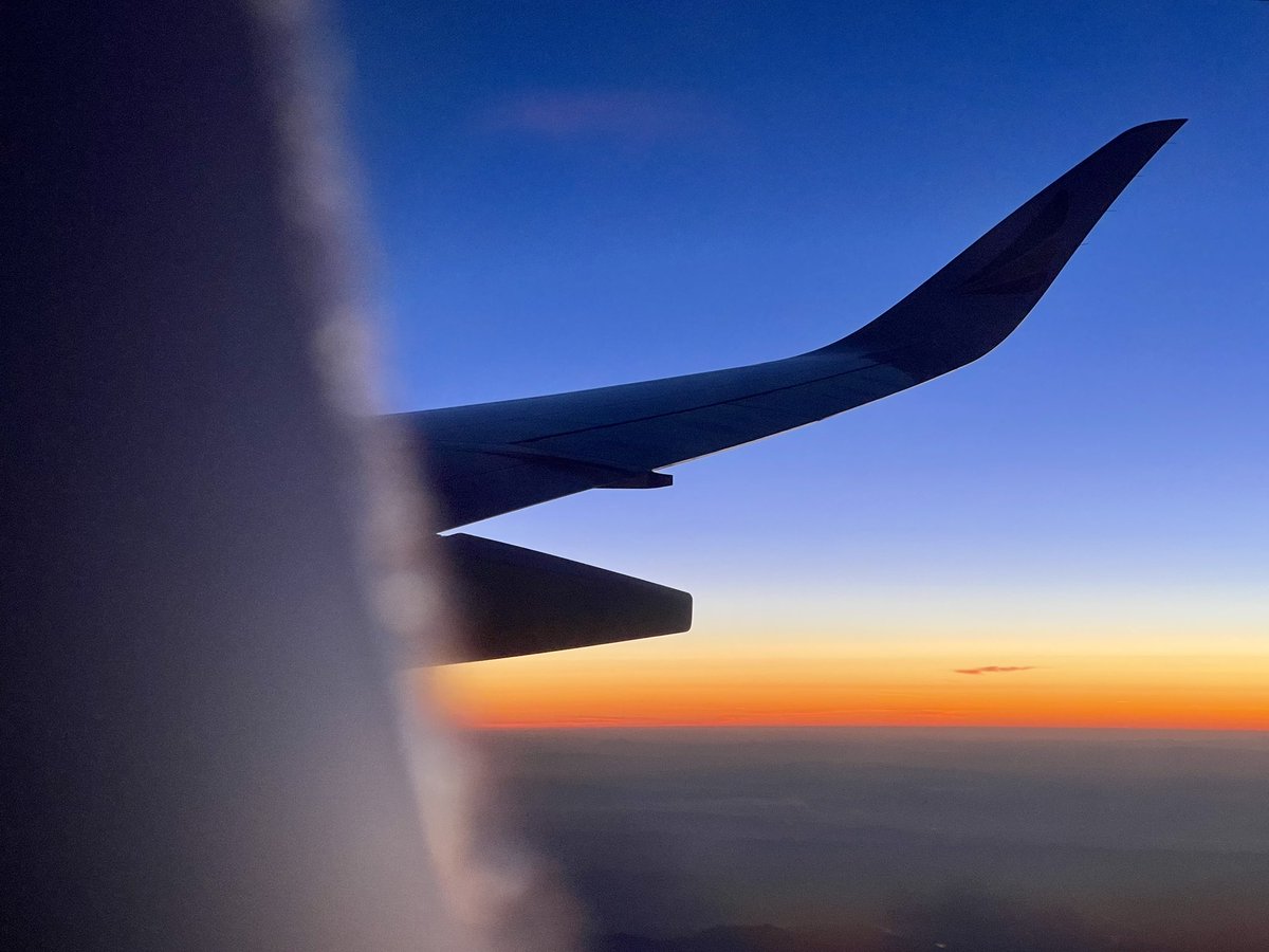 Maxime Letertre tweet media