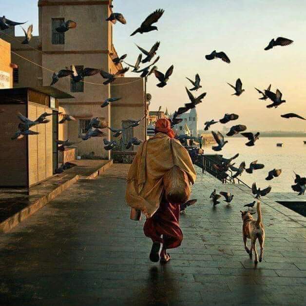 بڑی امید ہے سرکار قدموں میں بلائیں گے
   کرم کی جب نظر ہو گی مدینے ہم بھی جائیں ❤
 ہم غم کے ماروں کا مدینہ میں اگر ہوا جانا...
 assalamualikum ❤
all x friends💕
#t20USA #pakistanspeed 
#trendsetterni_king #alwayshappy