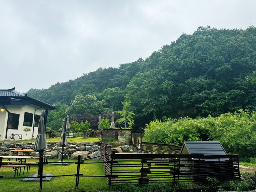 김🌿 tweet media