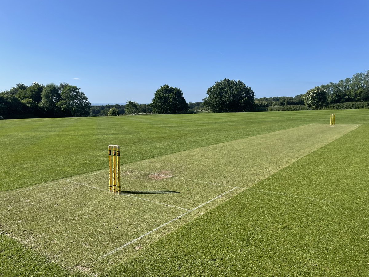 Director of Sport tweet media