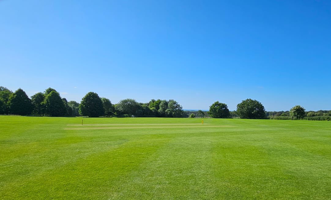 Director of Sport tweet media