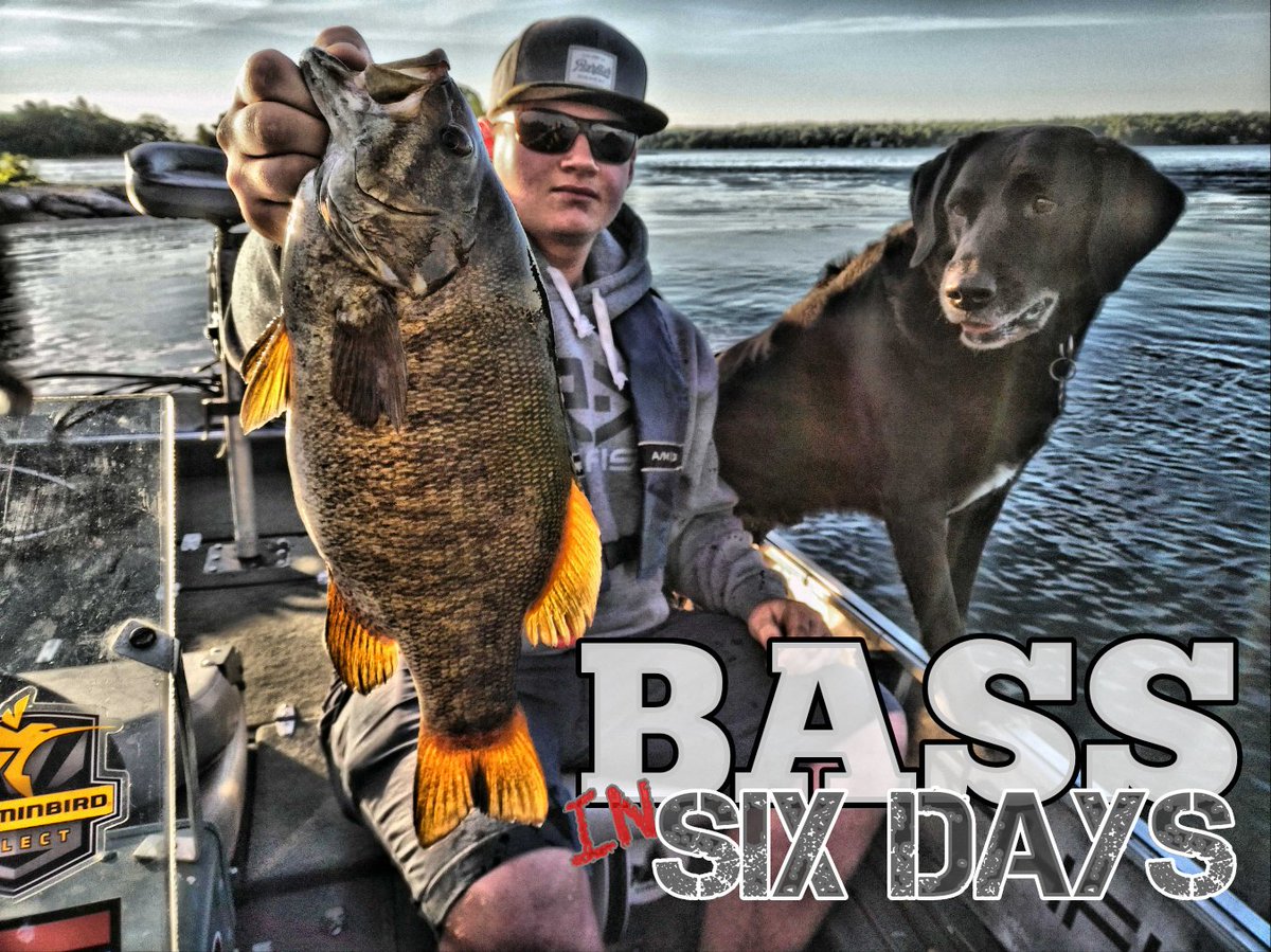 CANUCK BASSIN tweet media