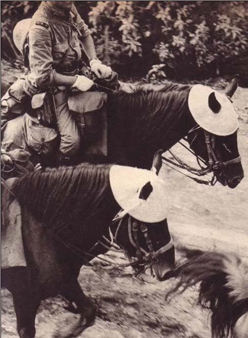 そういや恥ずかしい話ですが、ファインモールドのプラモデルを見るまではお馬さんの帽子は現地で勝手に作った物だと思ってました。 