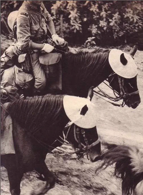 そういや恥ずかしい話ですが、ファインモールドのプラモデルを見るまではお馬さんの帽子は現地で勝手に作った物だと思ってました。 