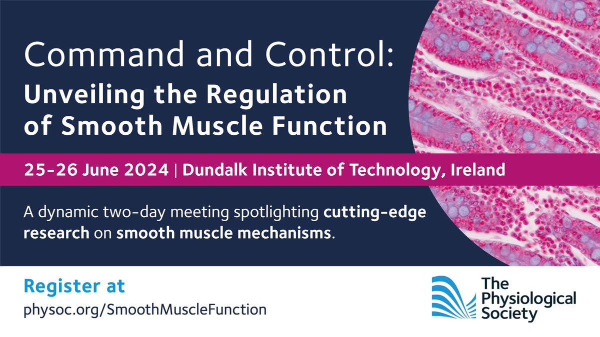 ThePhySoc's tweet image. 📢 Registration closes tomorrow! 📢 
Calling all researchers studying #SmoothMuscle tissue and organs. It&apos;s your last chance to register to join the #SmoothMuscleFunction meeting @DkIT_ie on 25-26 June. 

Don&apos;t miss out, save your spot by 10 June: buff.ly/4bYYuqm
