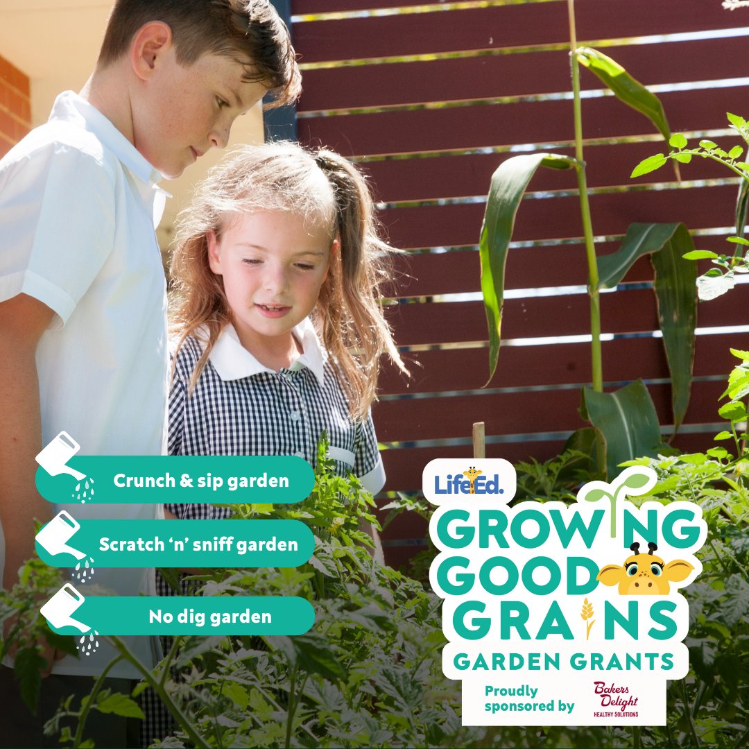 🦒🌈Use your creativity to win one of 25 school garden grants, valued at $1,000, through our Growing Good Grains Grants program, thanks to  <a href="/BakersDelightAU/">Bakers Delight</a> Healthy Solutions range🍞

🔗bit.ly/4aEKwbU

#Schoolgarden #schoolgrant #gardengrant #LifeEdxBakersDelight