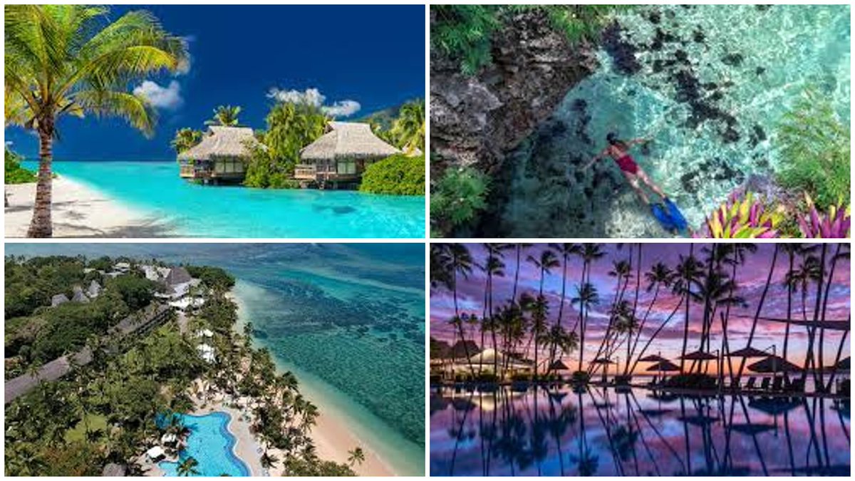 Save the Date:
Genes, Brain and Behavior
May 19-22, 2025
Shangri-La Resort
Yanuca Island, Fiji