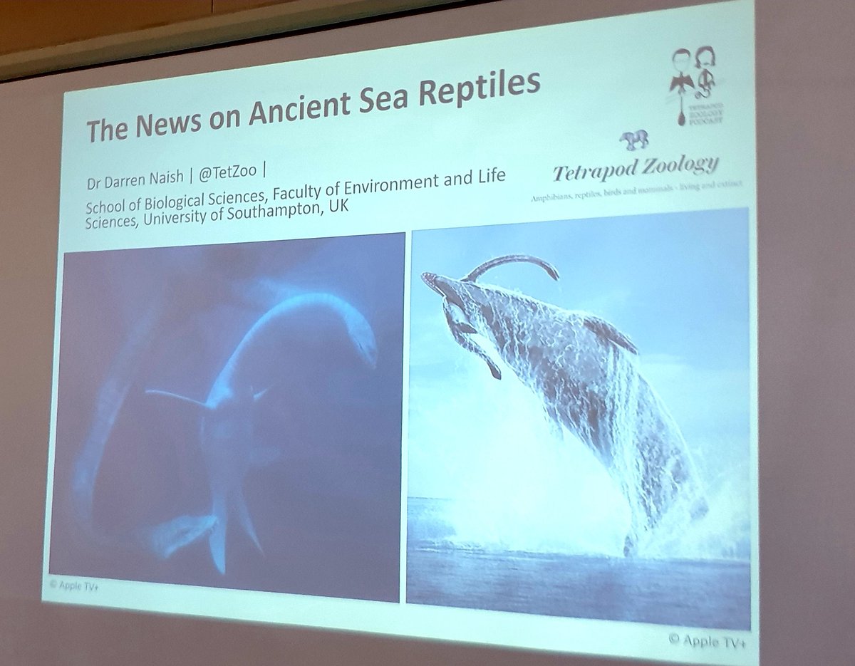 TetZoo's tweet image. I&apos;m at The Hub at #LymeRegis #FossilFestival and am about to be talking The News on Ancient Sea Reptiles...