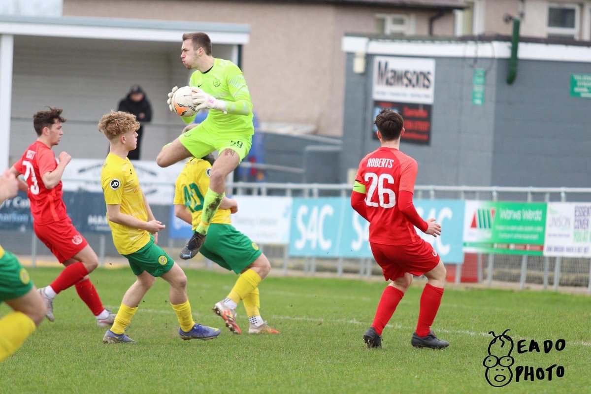 Free Agent Showcase tweet media