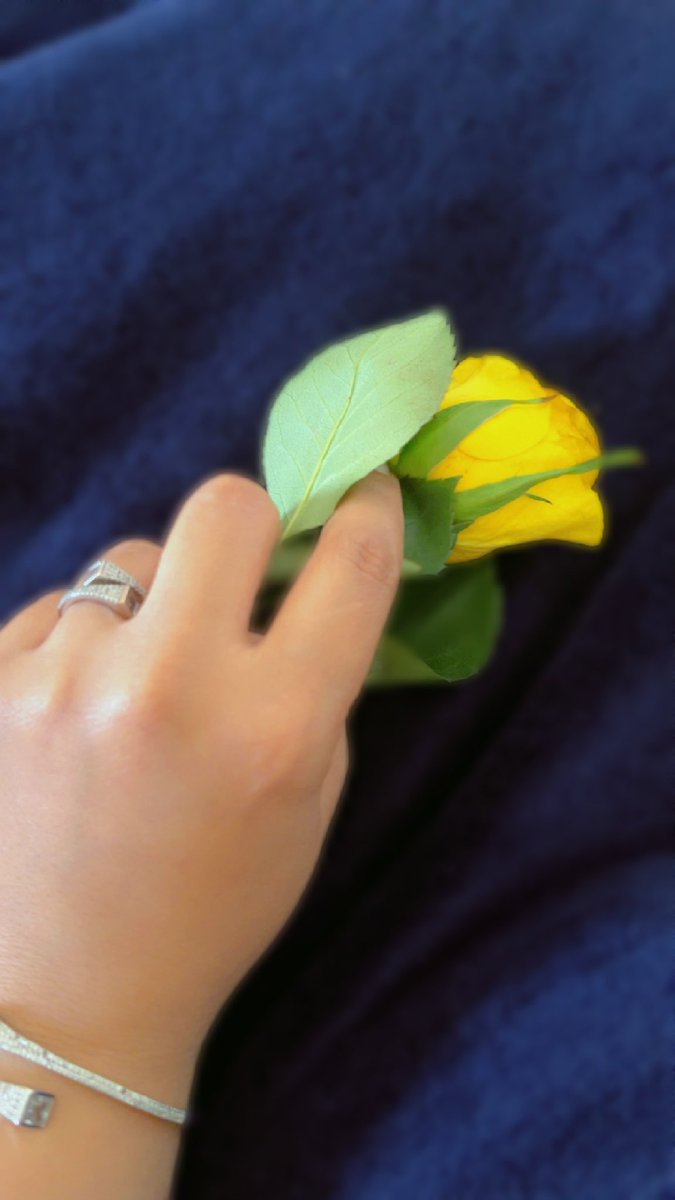 مع نرجسية البيت اللي تقول :
      "آناماتستخير فيني ؛آنا تختارني وتصلي شكر"
#صمت_اليوم