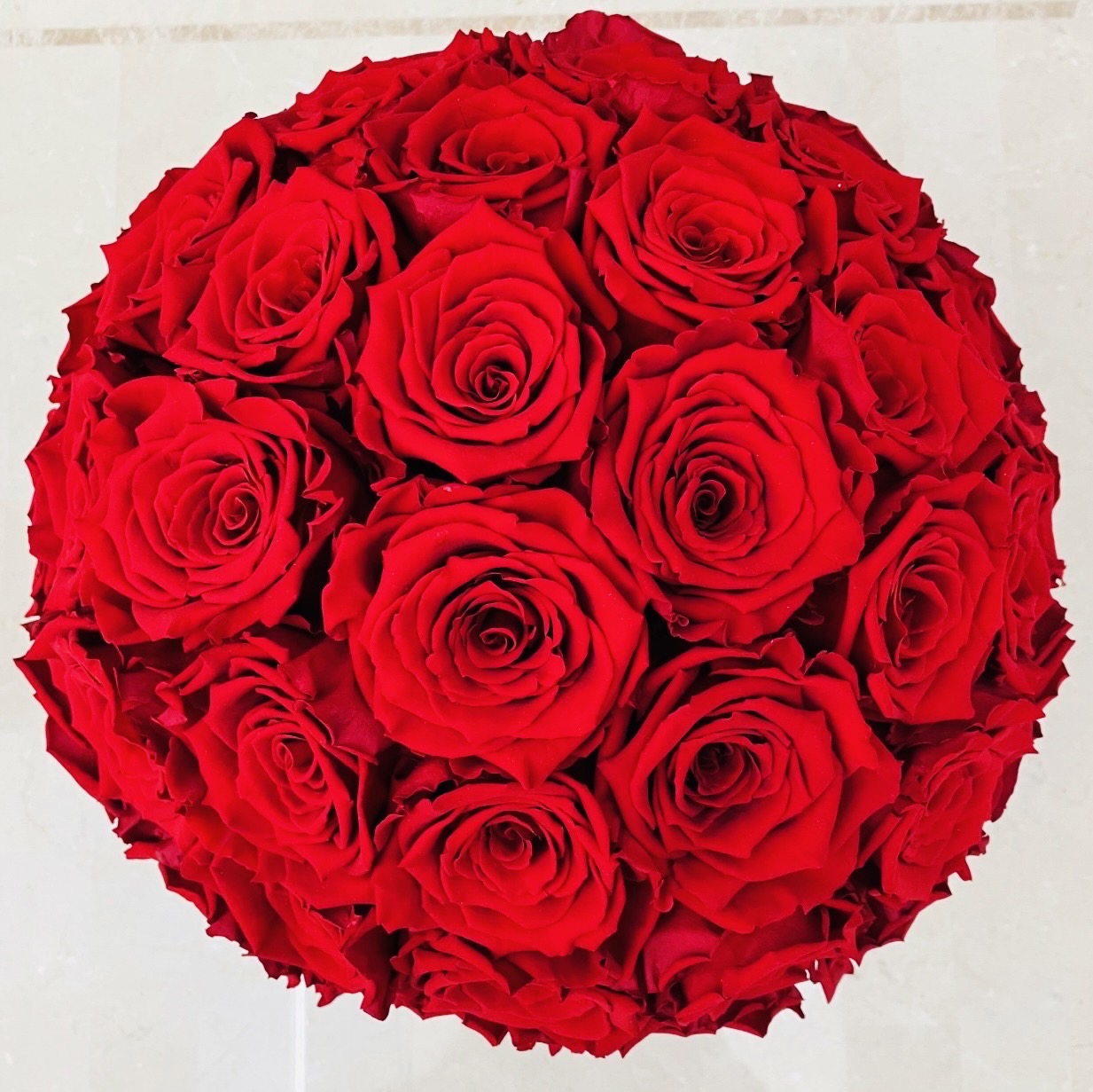TimelessRose( by ROSE GALLERY) (@RosegalleryTR) / X TimelessRose( by ROSE GALLERY) (@RosegalleryTR) / X