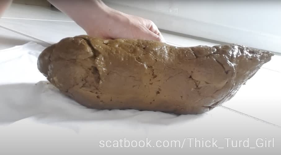 _ThickTurdGirl's tweet photo. I just posted new content on Scatbook. You can see it at https://t.co/znZQ1mzQc1 https://t.co/lladkYlPoz
