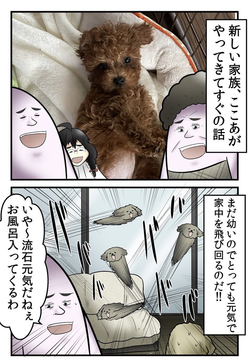 犬にチンチン噛まれた 1/9 