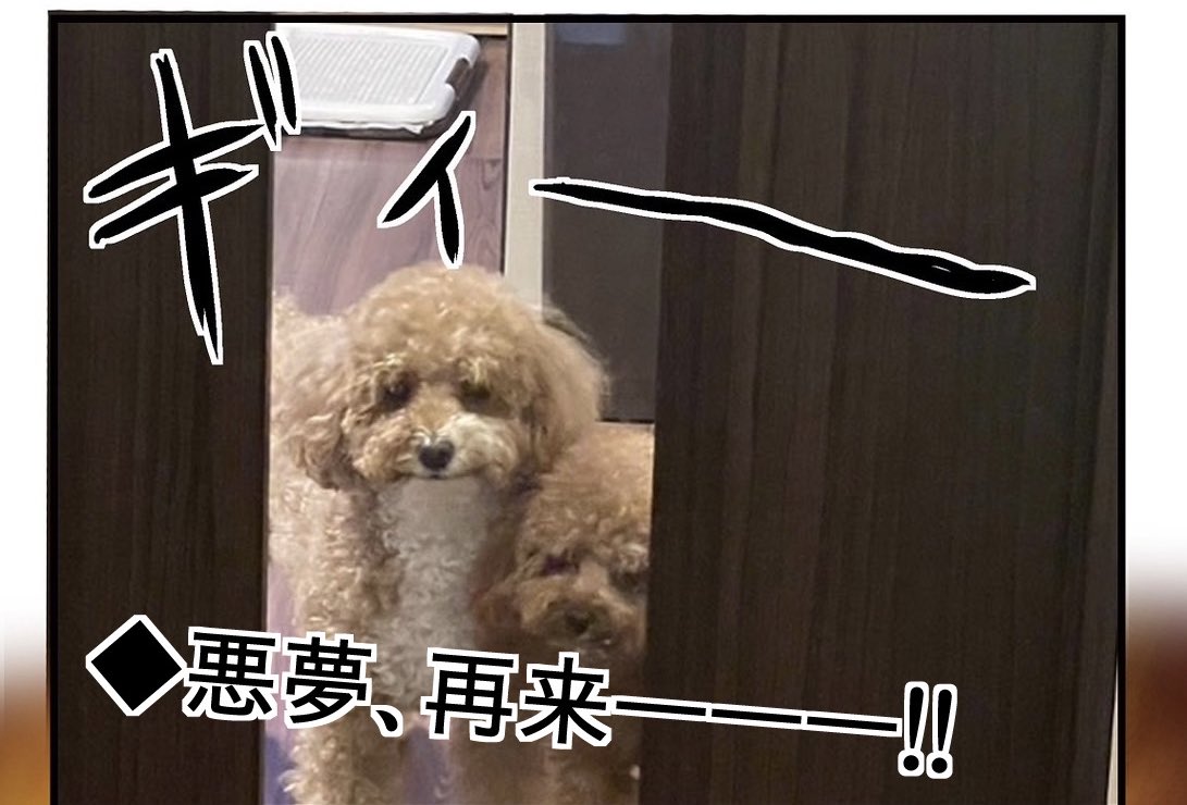 犬にチンチン噛まれて病院で大恥をかいた話 9/9 
