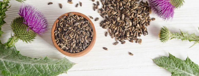 Seeds and Plants tweet media